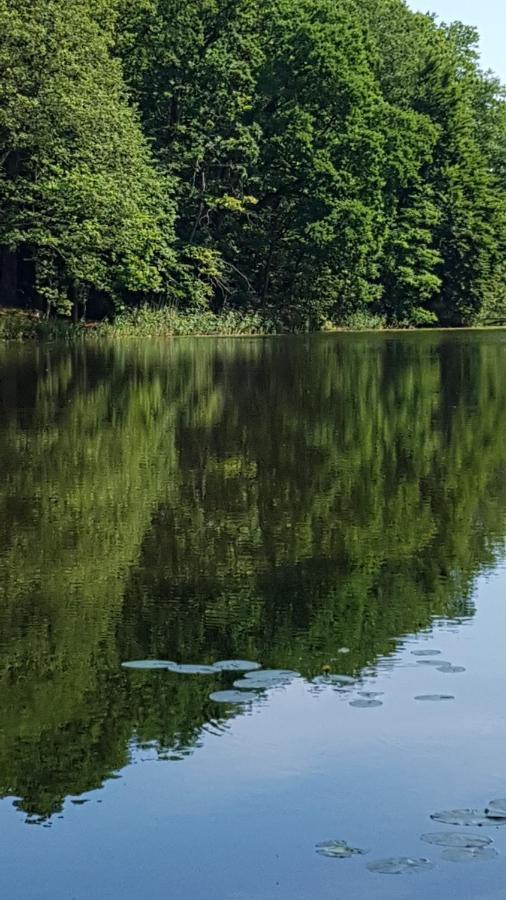Niebieski Zakatek Wisełka エクステリア 写真